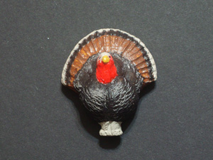 Magnetic Turkey